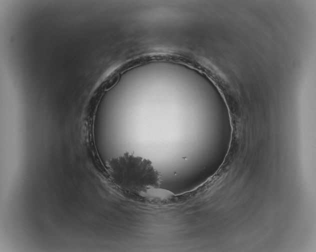 X0000115741208200911191438