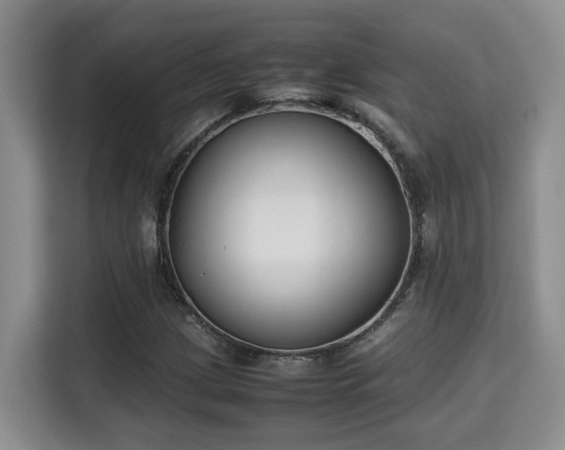 X0000115741209200911191438