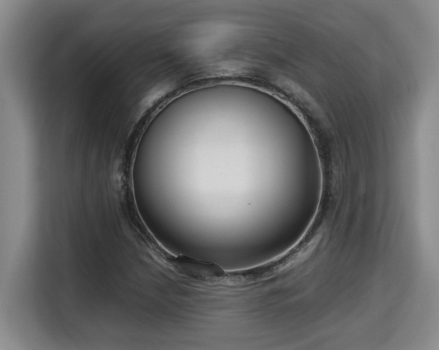 X0000115741210200911191438