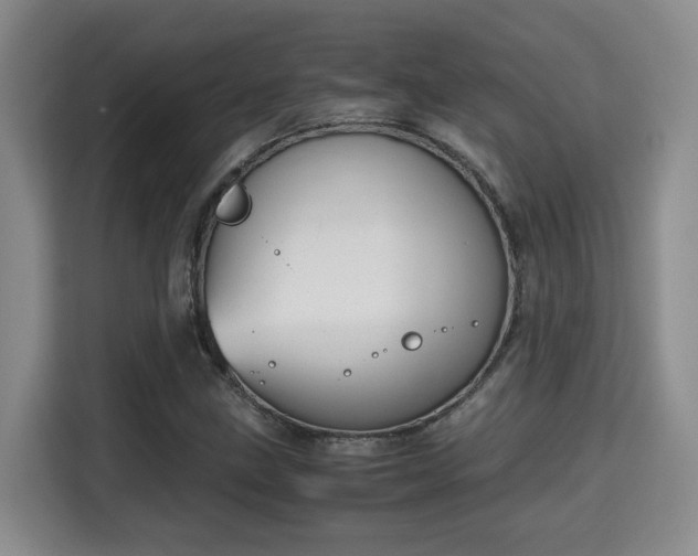 X0000115741211200911191438