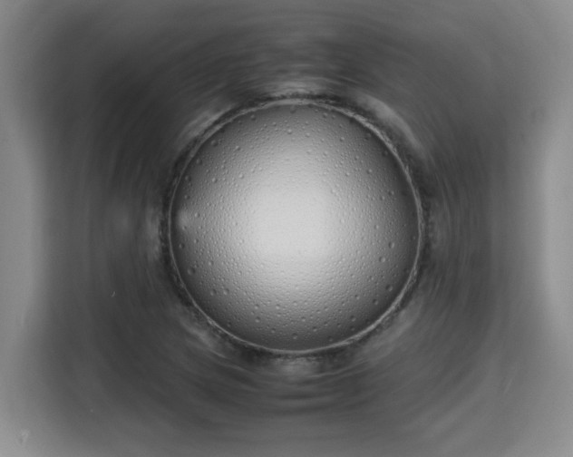 X0000115741217200911191438