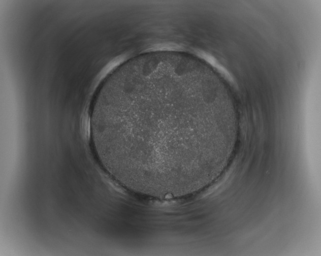 X0000115741221200911191438