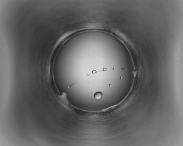 X0000115741222200911191438