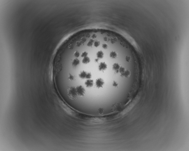 X0000115741224200911191438