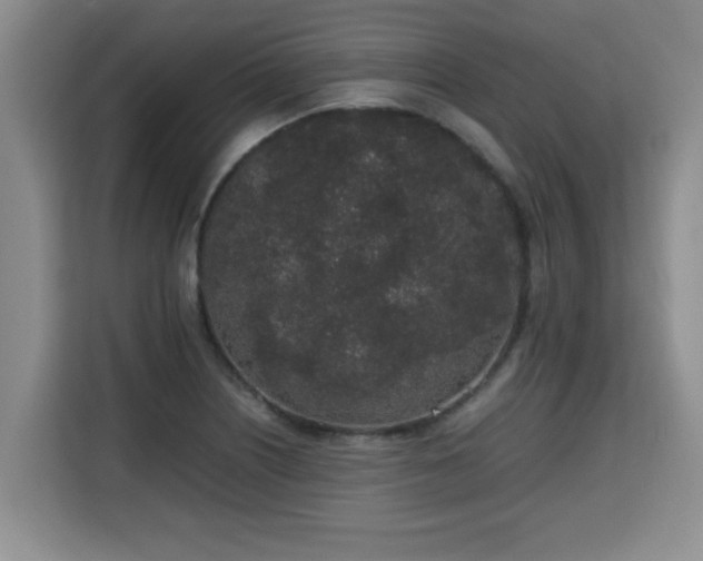 X0000115741226200911191439