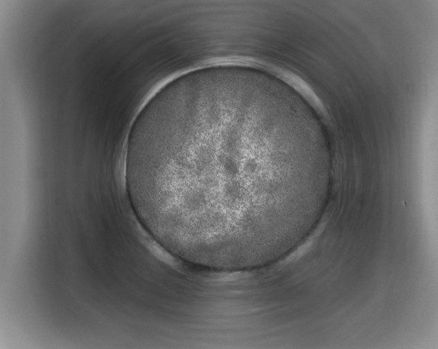 X0000115741228200911191439