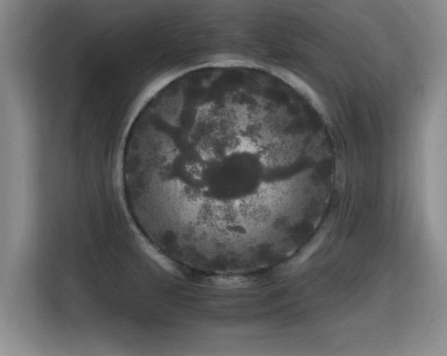 X0000115741231200911191439