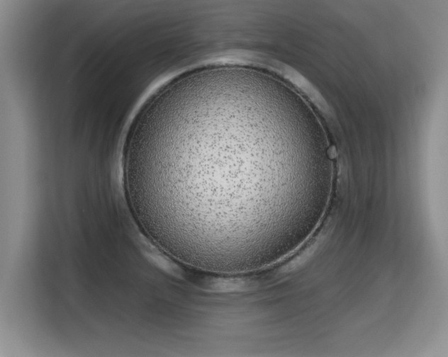 X0000115741232200911191439