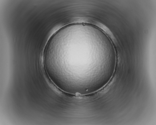 X0000115741234200911191439