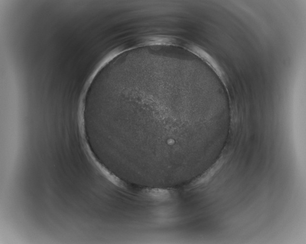 X0000115741235200911191439