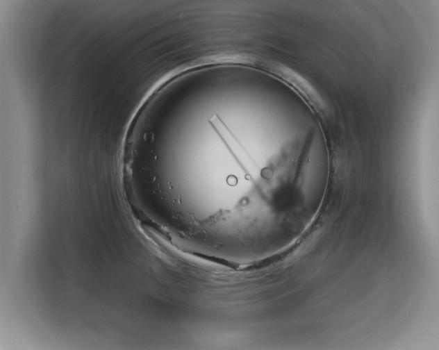 X0000115741236200911191439