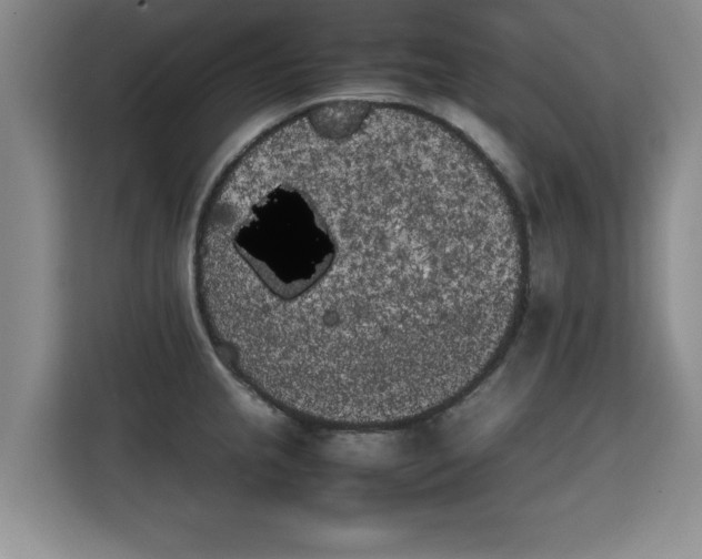 X0000115741237200911191439