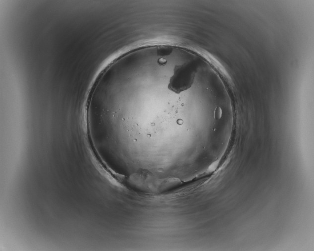 X0000115741238200911191439