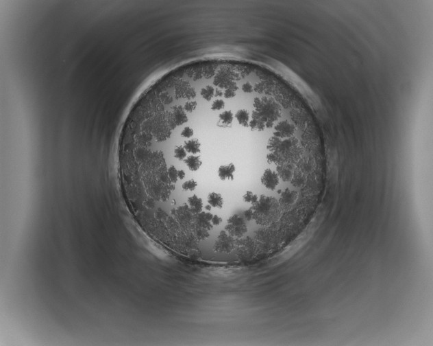 X0000115741240200911191439