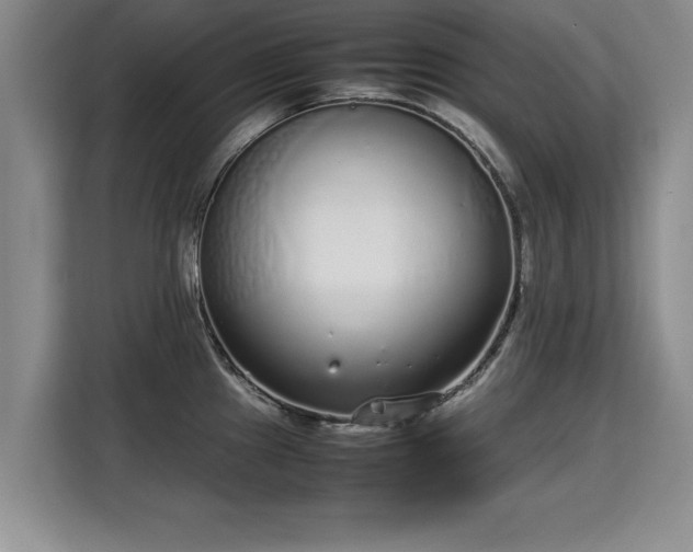 X0000115741241200911191439