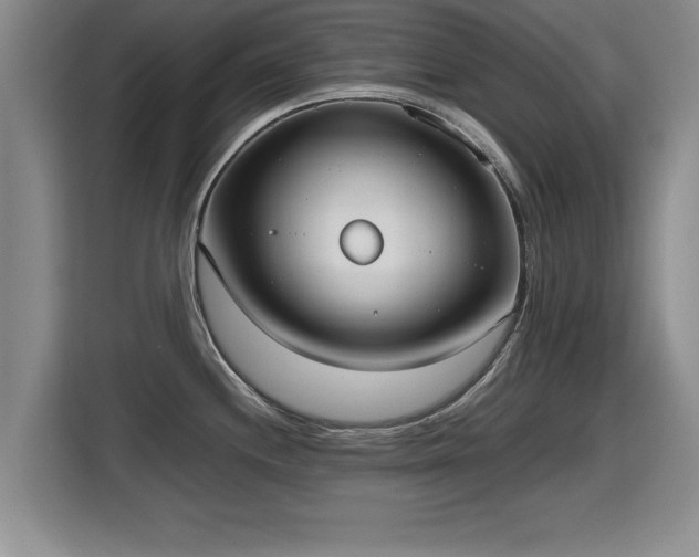 X0000115741244200911191439