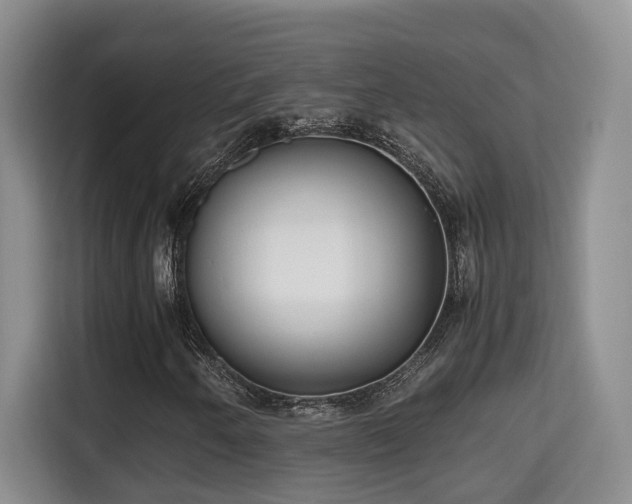 X0000115741250200911191438