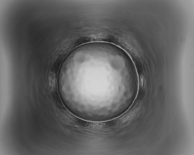 X0000115741251200911191438