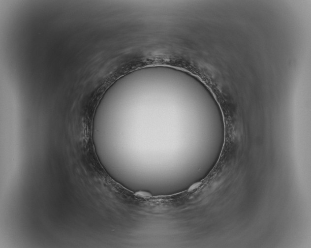 X0000115741253200911191438