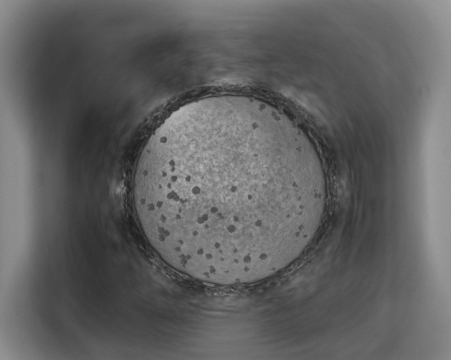 X0000115741254200911191438