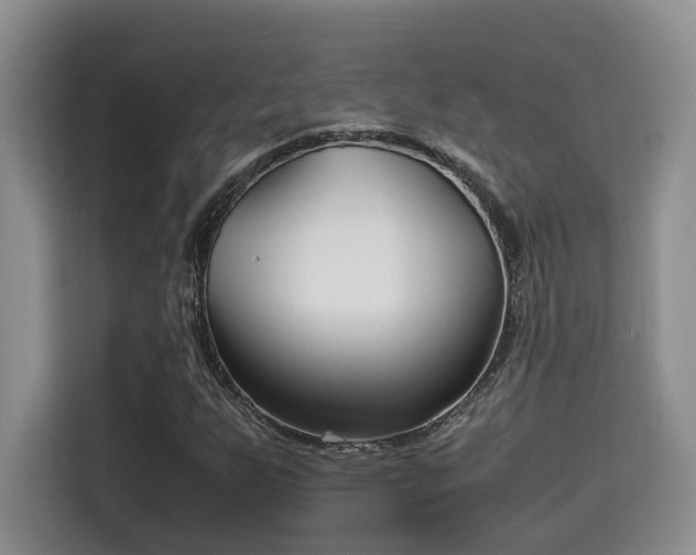 X0000115741255200911191438