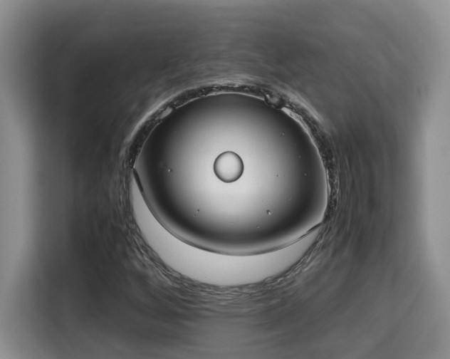 X0000115741256200911191438