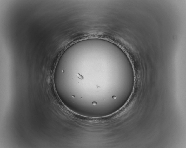 X0000115741257200911191438