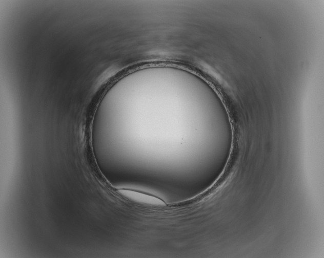 X0000115741259200911191438