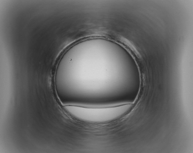 X0000115741260200911191438