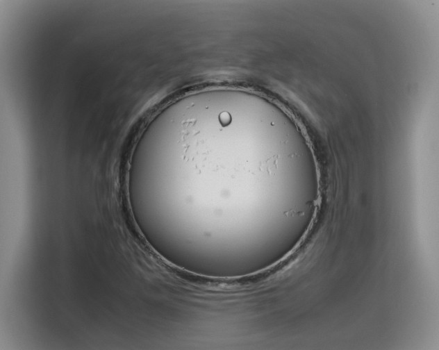 X0000115741261200911191438