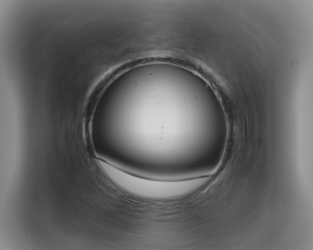 X0000115741262200911191438