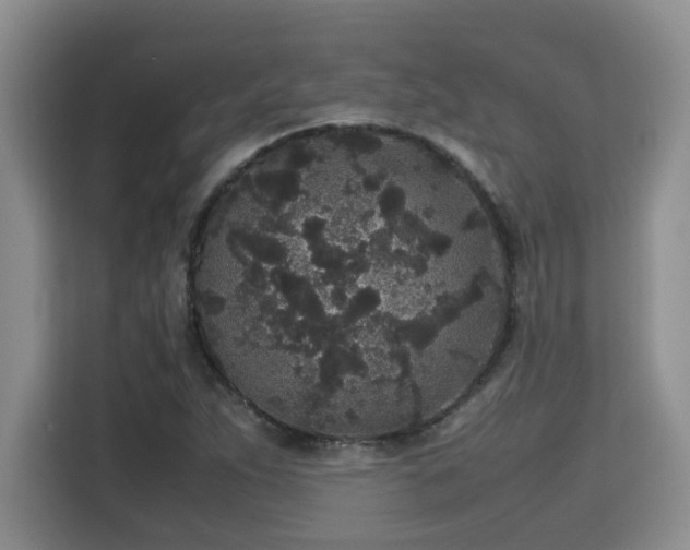 X0000115741263200911191438