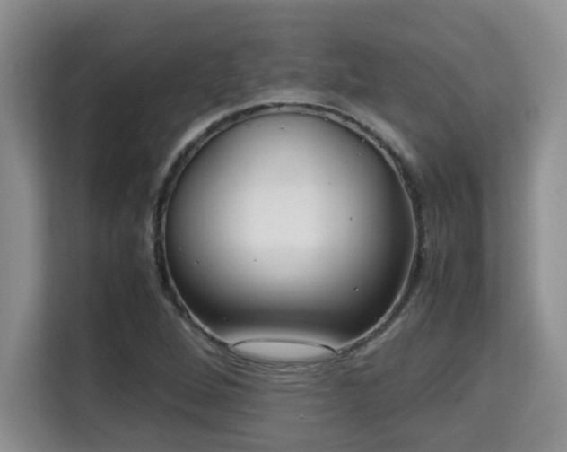 X0000115741264200911191438