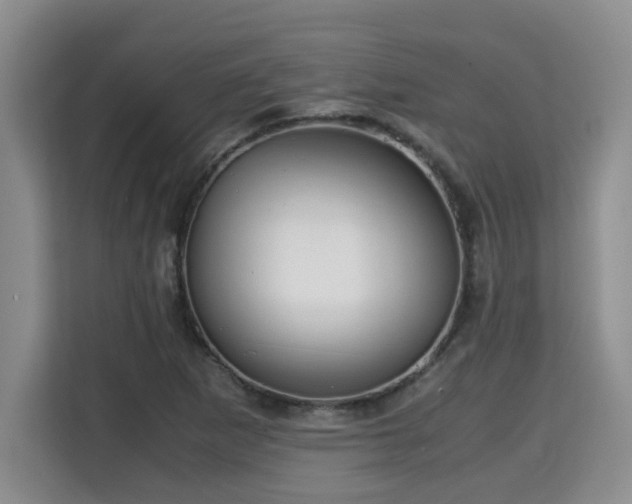 X0000115741265200911191438