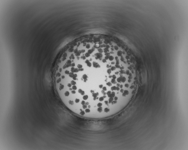 X0000115741266200911191438