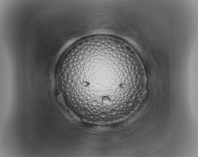 X0000115741271200911191438