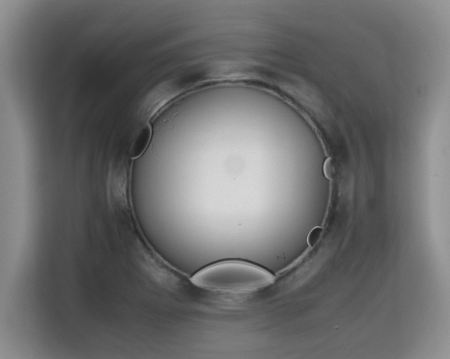 X0000115741273200911191438