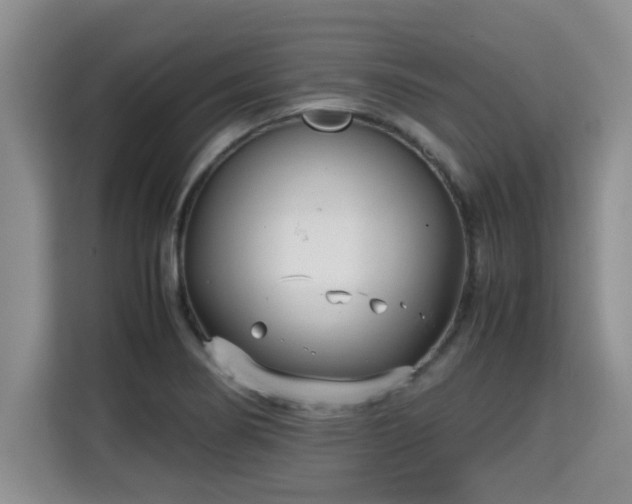 X0000115741274200911191438