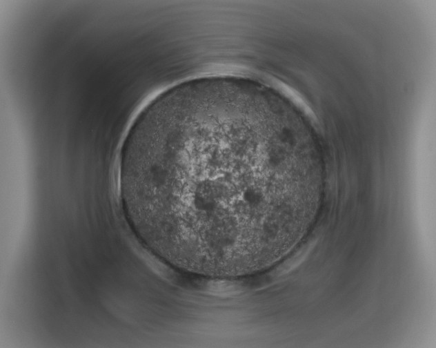 X0000115741275200911191438