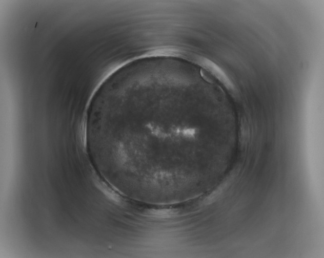 X0000115741276200911191438