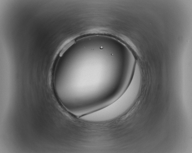 X0000115741277200911191438