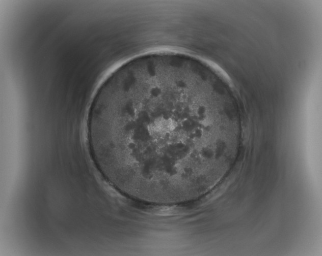 X0000115741279200911191438