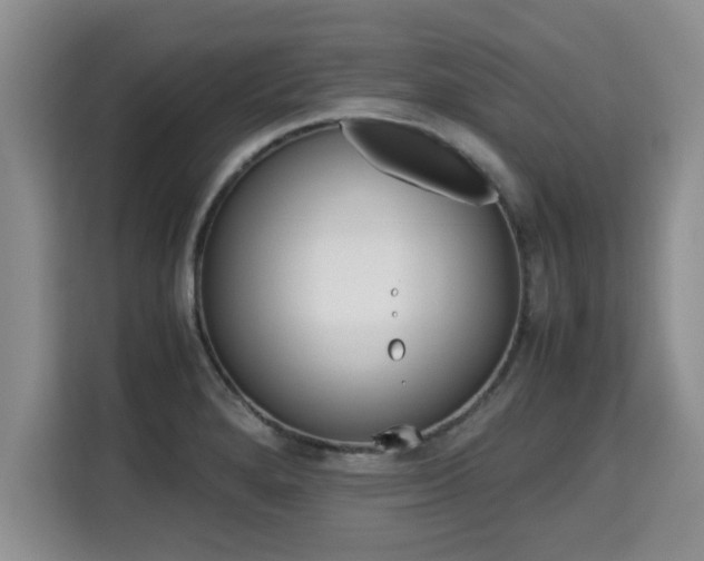 X0000115741280200911191438