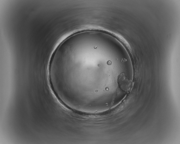 X0000115741287200911191438