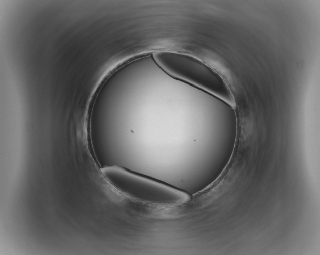 X0000115741288200911191438