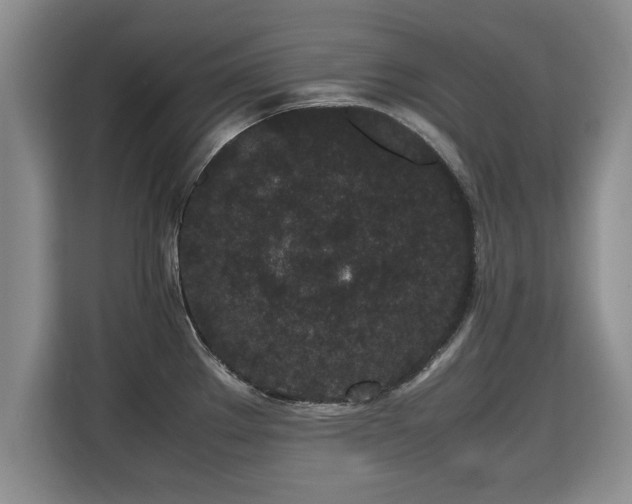 X0000115741289200911191438