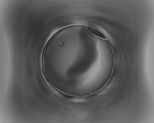 X0000115741291200911191438