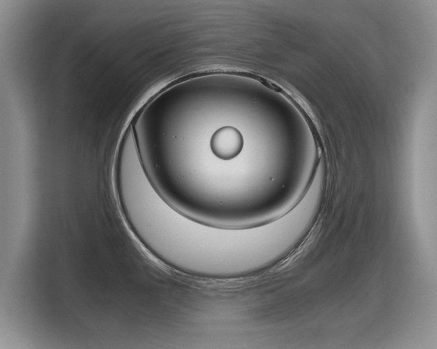 X0000115741293200911191438