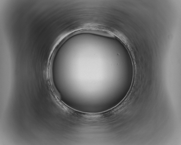 X0000115741296200911191438