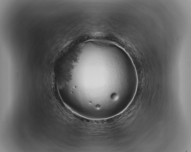 X0000115741301200911191437